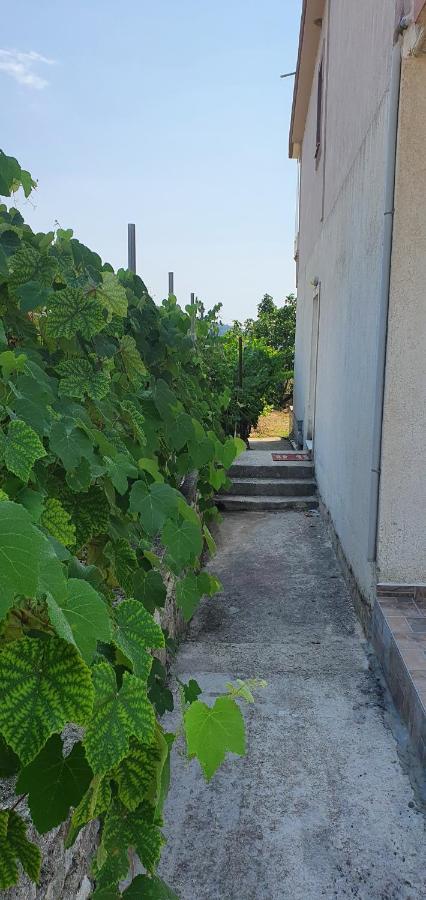 Margaret'S Guest House Mesopotam ภายนอก รูปภาพ